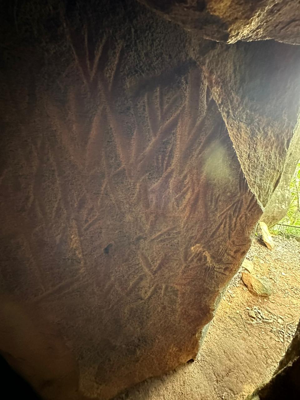 Danigala Gallery Image